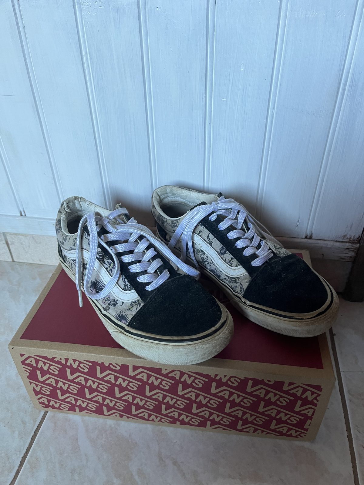 Basket Vans