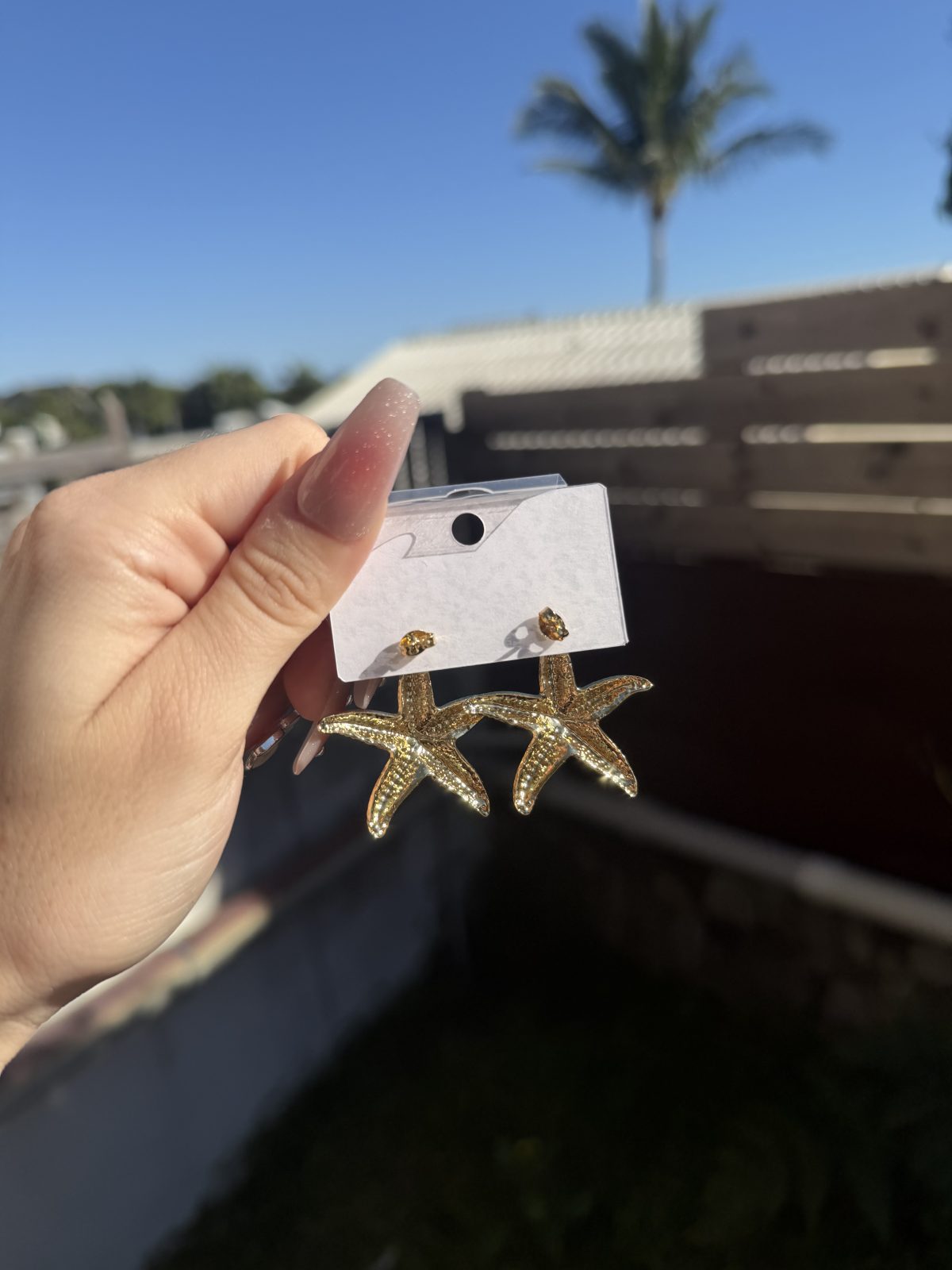 Boucle d'oreille Etoile de mer ( neuf )