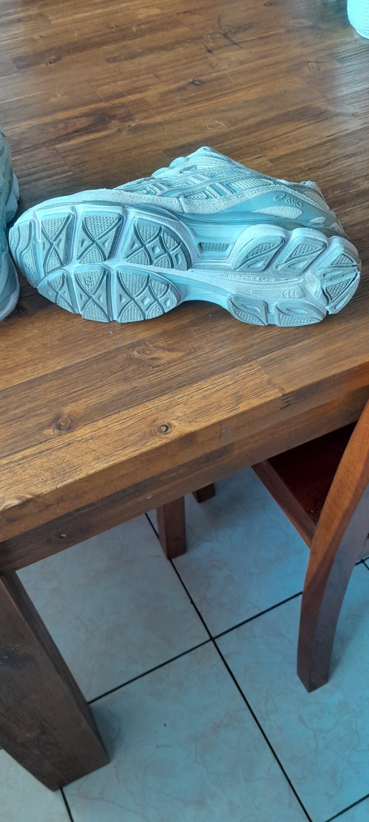 Basket Oasics