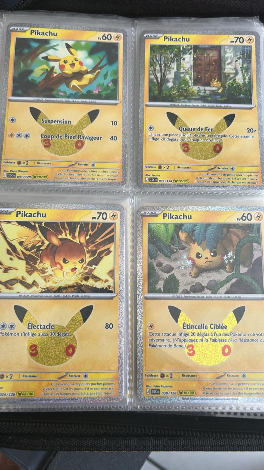 Lot Pokémon 30ans