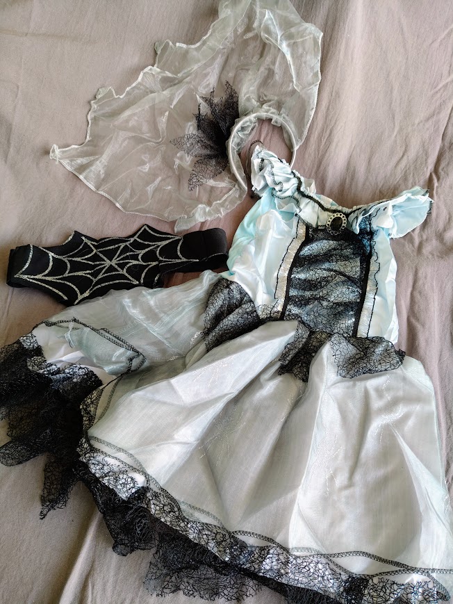 Robe et accessoire déguisement carnaval 6 ans NEUF — La Réunion